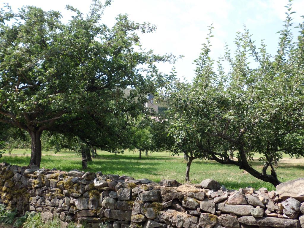Casa Rural La Altanera Барньедо-де-ла-Рейна Экстерьер фото